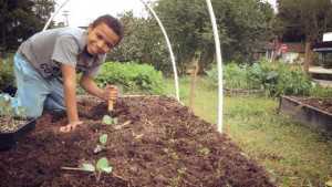 Florida Organic Group Dedicated To Serving Growers, Community