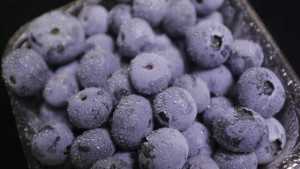 Postharvest Cooling Capability Takes a Big Step Forward