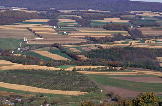 Agrium Acquires A Controlling Interest In Biotech Company Agricen, Through Loveland Products