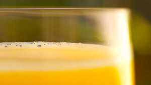 Florida Citrus Commission Probes Federal Marketing Order For Orange Juice