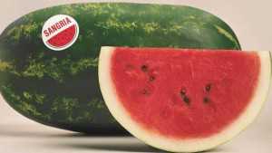24 Sweet Watermelon Varieties to Consider [Slideshow]