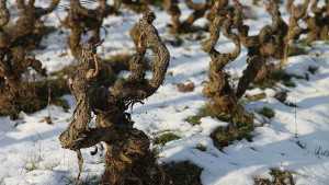 Northeast, Finger Lakes Hit With Arctic Blast