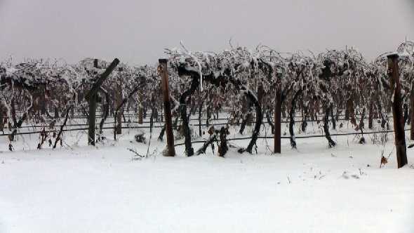 ‘Super Cold’ Winter, Sizzling Summer On Tap In 2015 Farmer’s Almanac