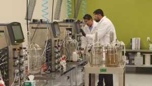 Have Faith In Science – Which Means GMOs [Opinion]