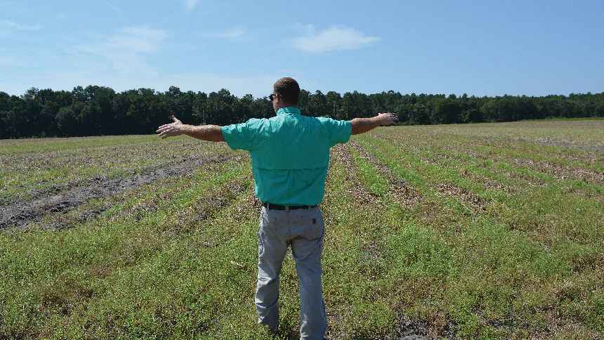 Ways That Farmers Can Show They Are Outstanding in Their Field