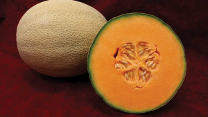 Sakata Seed America To Debut “Tasty 10 By Sakata Collection” At 2014 PMA Fresh Summit