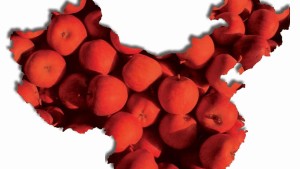 Readers Sound Off On Possible Chinese Apples Imports