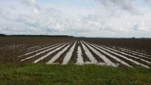 Drought-Busted Sunshine State Still on the Dry Side