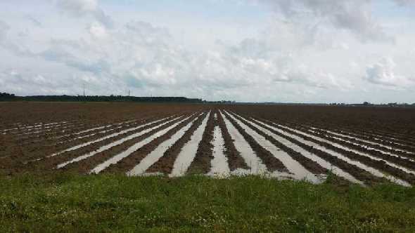 South Florida Wet Season Receives Slight Respite