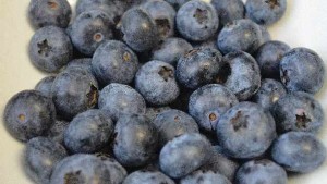 Indigocrisp Blueberry Promises To Deliver Plenty Of Pop