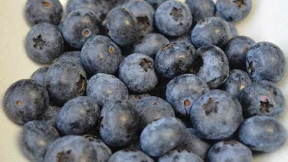 North American Blueberry Council Announces New Board Members