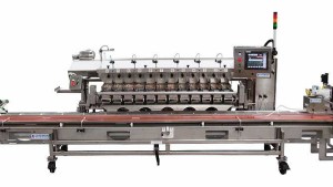 New Fill-By-Weight Clamshell Filler For Blueberries
