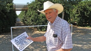 Marketer Finds Niche With First-Of-Its-Kind Orange Maze