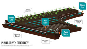 New Sub-Surface Irrigation Approach Helps Save Labor