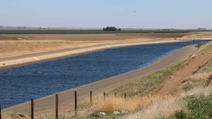 WOTUS Wranglings Leaving Agriculture High And Dry [Opinion]