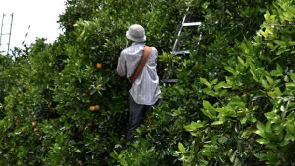 Politics Creating More Work In Farm Management Field
