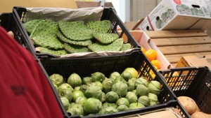 How To Be Successful Growing Ethnic Vegetables
