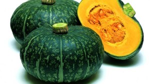 20 Top-Notch Squash Varieties [Slideshow]