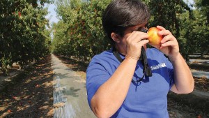 What Growers Need To Know About Maximum Residue Levels