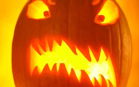Farming Is Quite The Scary Prospect For Some [Opinion]