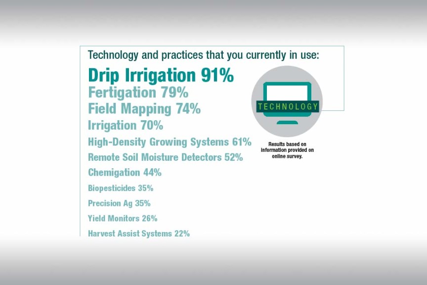 Top 100 Growers On Technology