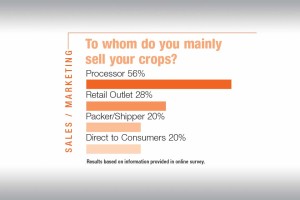 Top 100 Growers On Sales And Marketing