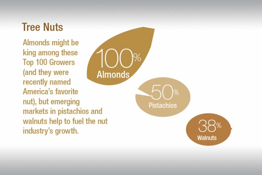 Nuts Grown By Our Top 100 Growers
