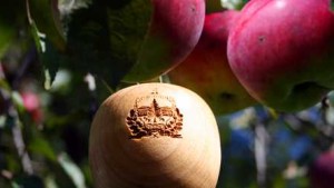 Vermont Hosts ‘Apples To iPods’ Contest