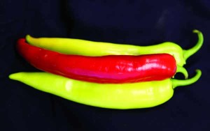 Blazing Banana 