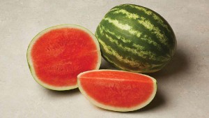 Seedway Showcases Latest Vegetable Varieties For Florida
