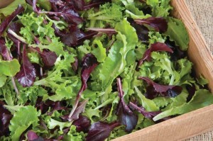 Five Star Lettuce Mix