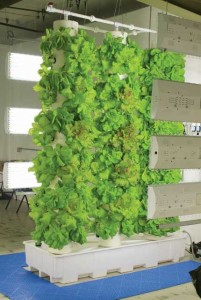 Growers Supply
