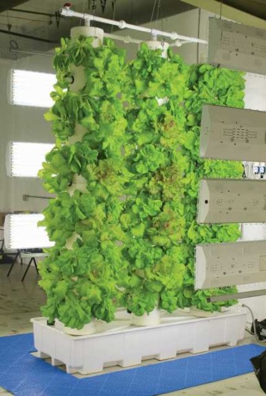 Growers Supply