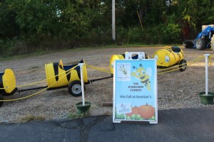 Bee Ride