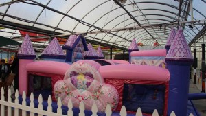 Koetsier’s Greenhouse’s Fall Kids Activities Are Money-Makers [Steal This Idea]