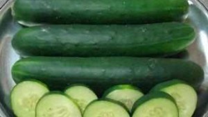 Siegers Seed Co. Showcases Latest Vegetable Varieties For Florida
