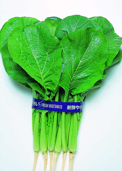 Komatsuna