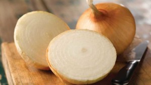 American Takii Showcases Four Vegetable Varieties