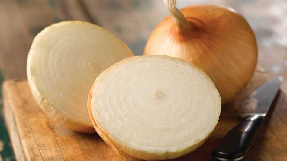 American Takii Showcases Four Vegetable Varieties