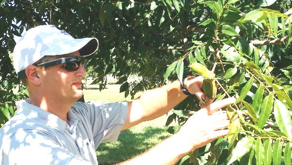 Georgia Universities Evaluating New Crop Monitoring Technologies