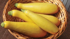 7 Cutting-Edge Cucurbits Fitting For Florida Farmers