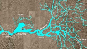 Drought Forcing California Growers To Rely On Groundwater