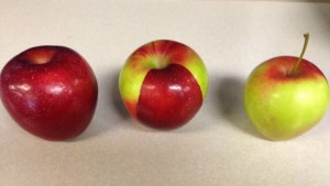 Rare Apple Found In Michigan