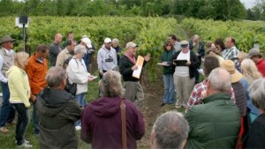 Northern Grapes Project Receives $2.6 Million USDA Grant