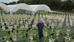 Diversification Is King For Small Farm’s Success