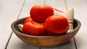 Seminis Introduces Dixie Red Fresh Tomato Variety