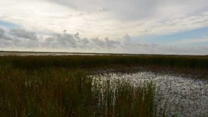 Forecast: South Florida Dry Season May See Fair Share Of Damp Days