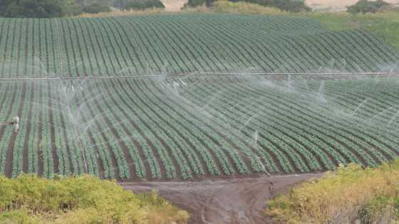 Tessenderlo Kerley Inc. Acquires Herbicide Business Assets from DuPont Crop Protection