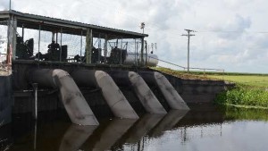 Florida Politicos Hopeful In Wake Of Comprehensive Water Policy Passage