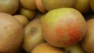 Plant These Hard Cider Apple Varieties